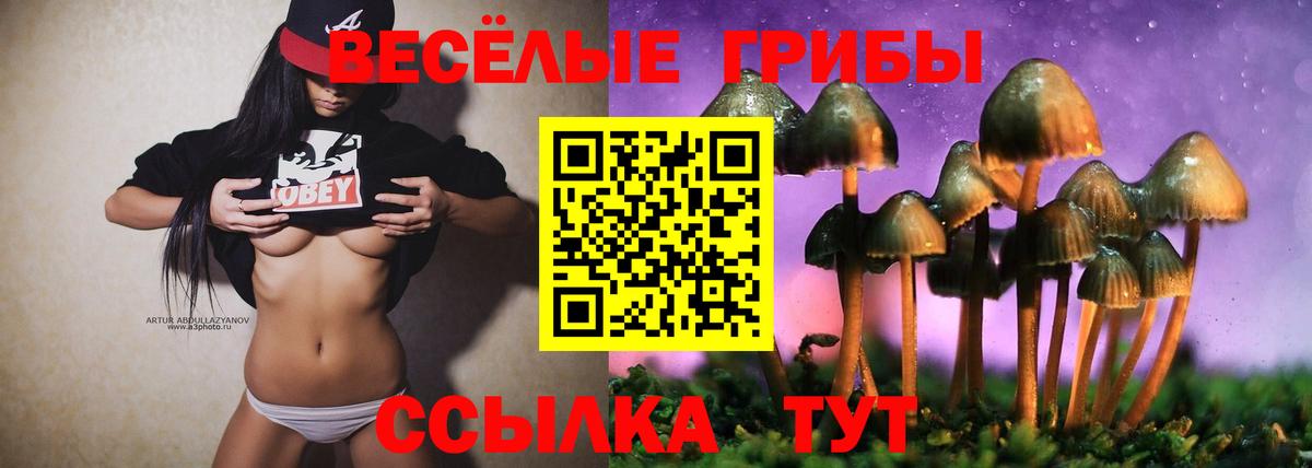 Псилоцибиновые грибы Psilocybine cubensis  Галлюциногенные грибы MAGIC MUSHROOMS  Вход с VPN  Десногорск 