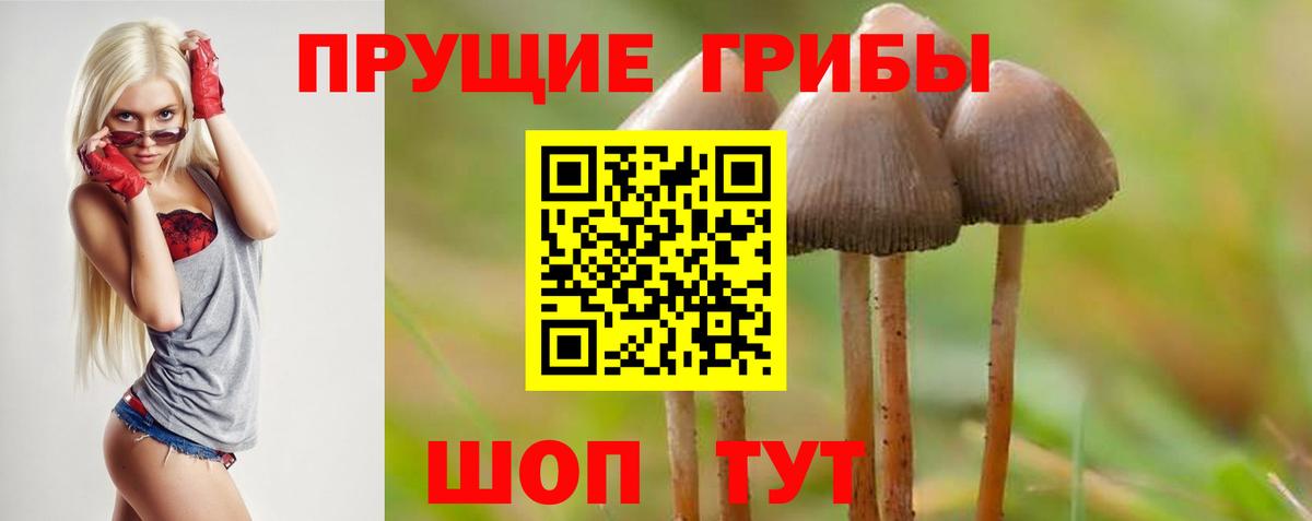 Псилоцибиновые грибы мухоморы Десногорск